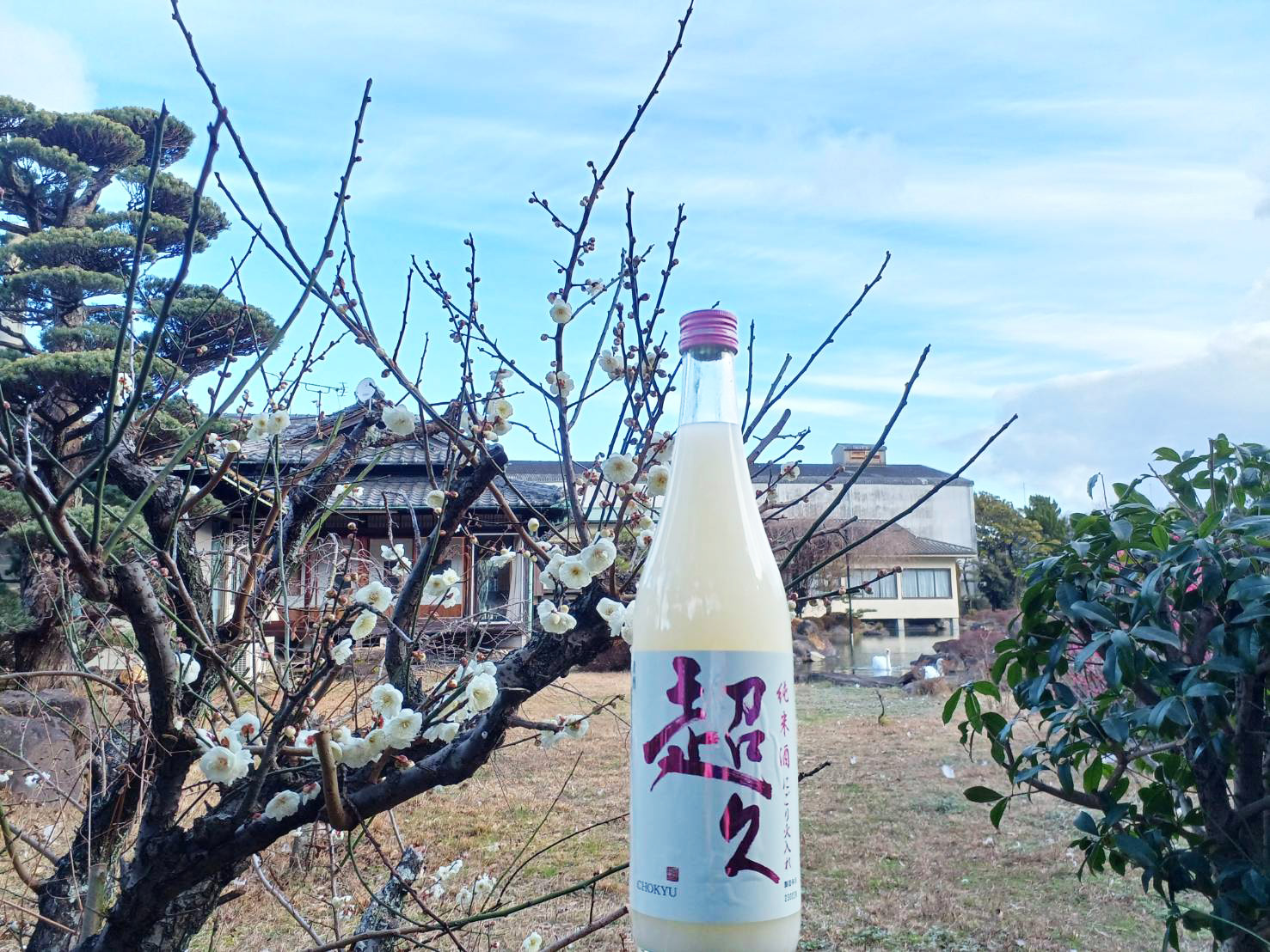 【新発売】純米酒「超久」にごり火入れ