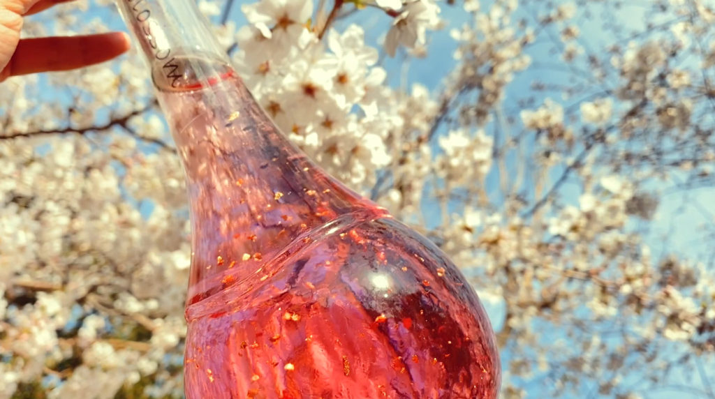 15_blossomさくら梅酒