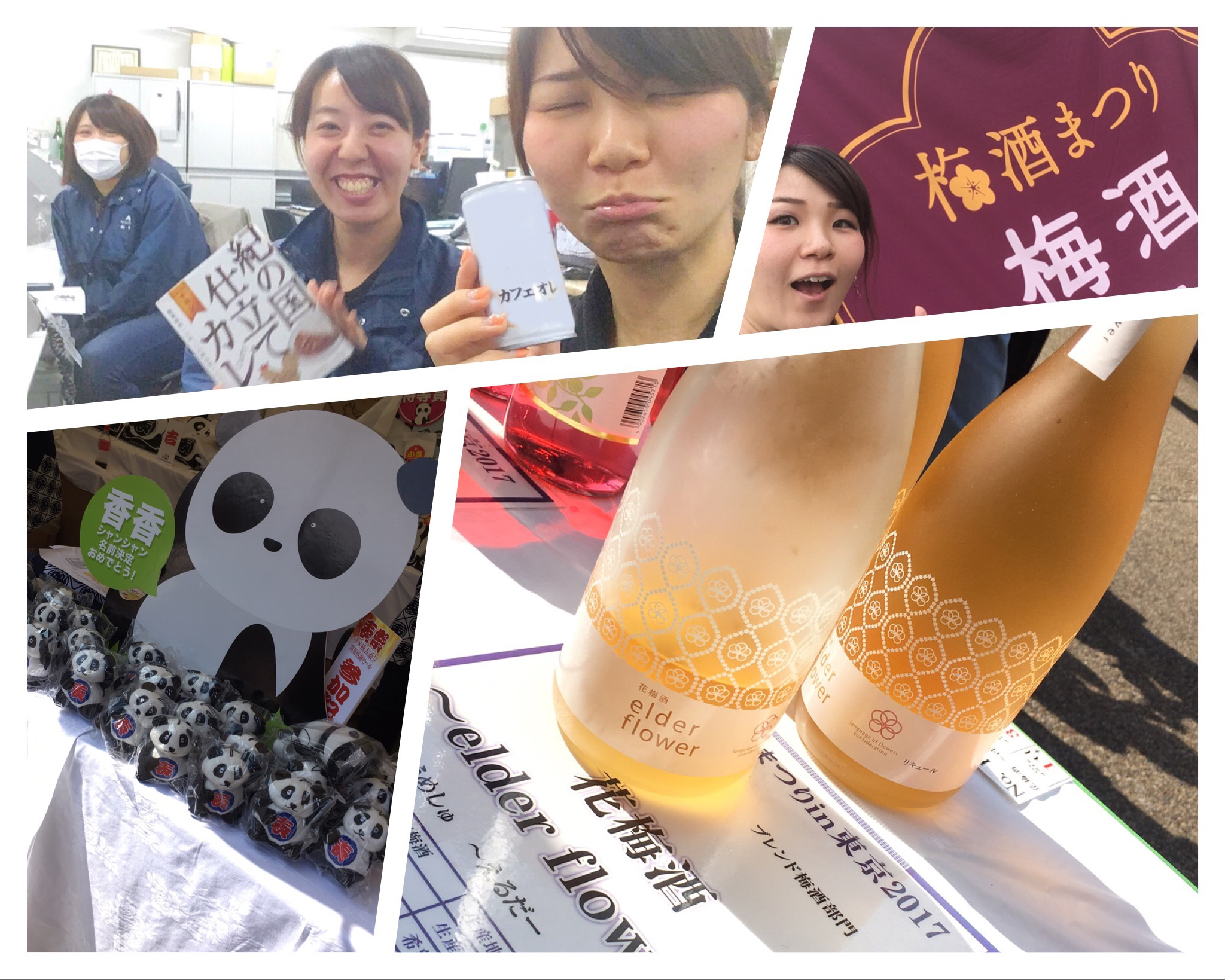 梅酒まつりにパンダまつり！上野の中心で想いを叫ぶ(ー