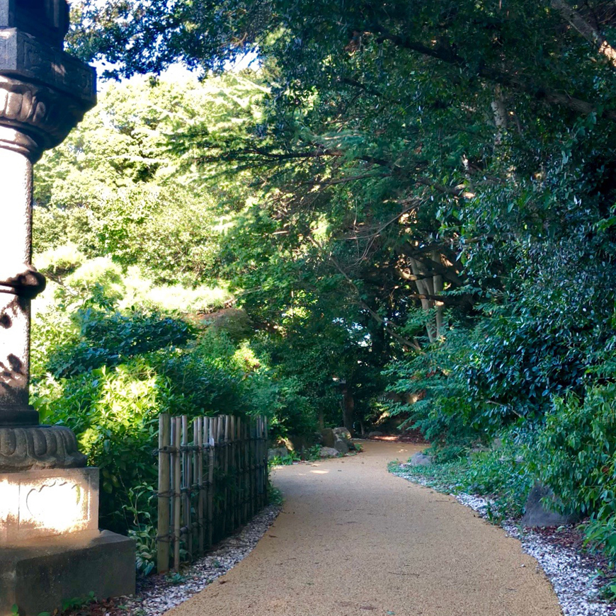 「哲学の道」を歩くと、満ち満ちと溢れる水がこう見えた！