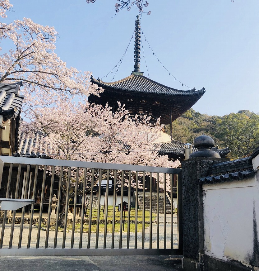 「どこのお母さんも同じなんだなぁ」と思うコト