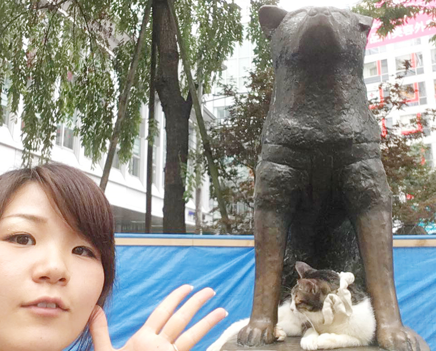 動物の街、渋谷？