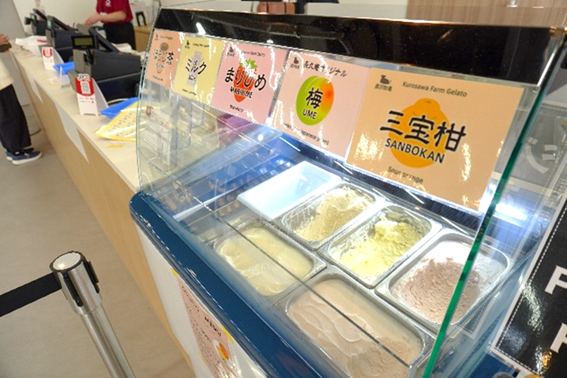 新「長久庵」の魅力発見！春の陽気に嬉しいひんやりスイーツも