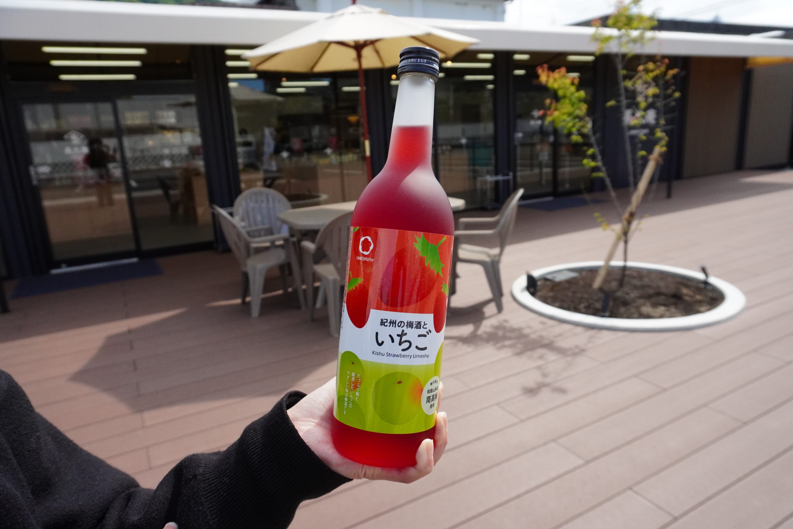 「長久庵」でいちご狩り！？まりひめに癒される週末はいかがですか？