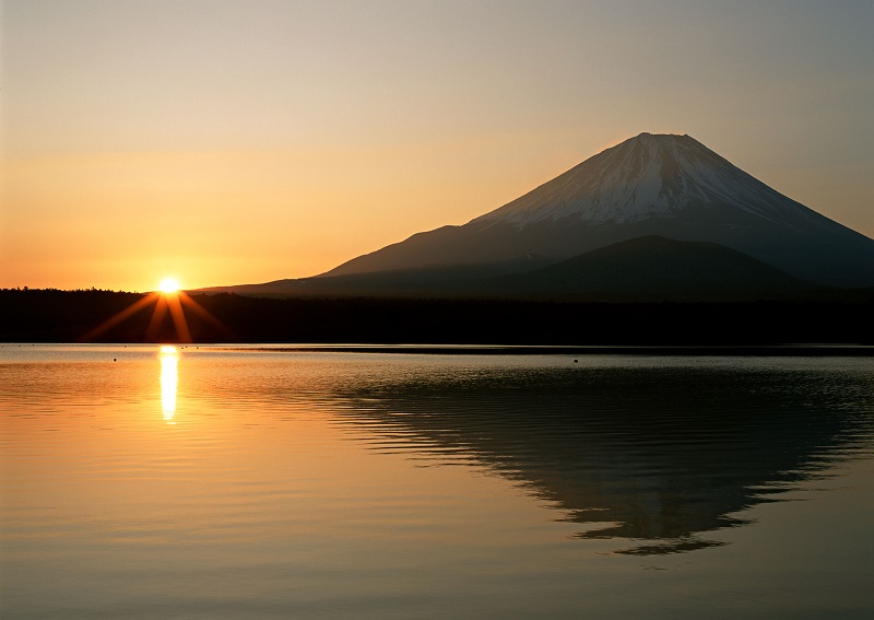 2019年が始まりました！