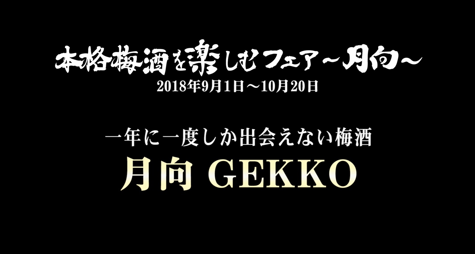 ムービージェニックな月向！？
