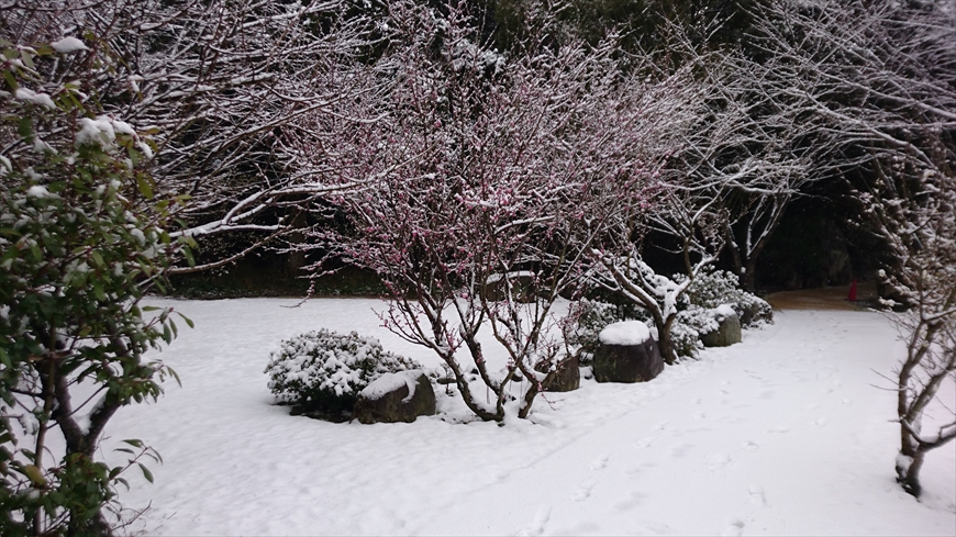 【画像のみ】雪降る長久邸