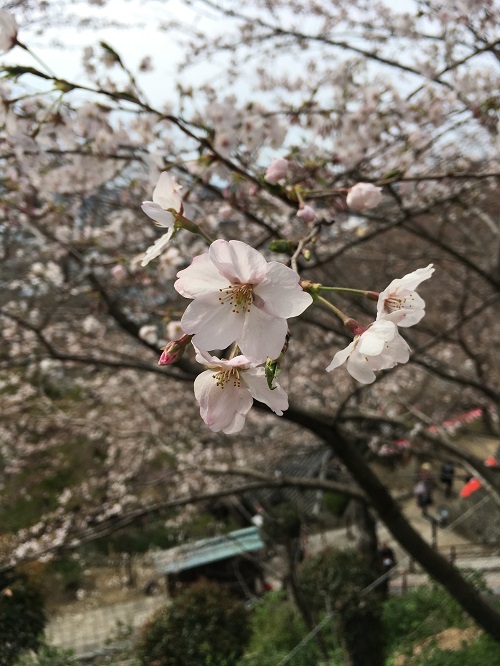 昔の人に想いを馳せてみた。