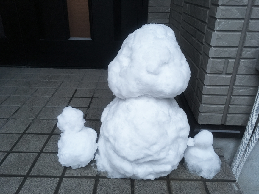 和歌山にも雪が～＼(^o^)／