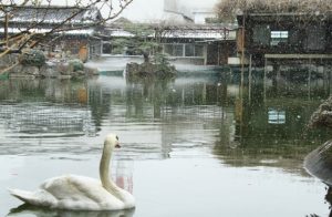 IMG_0032(加工)