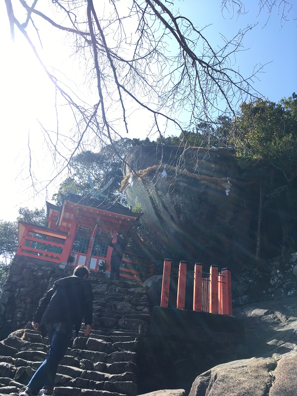 高野・熊野の自然の恵み