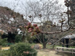 IMG_2365