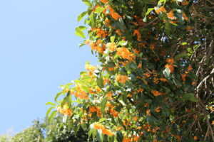 IMG_4727_01