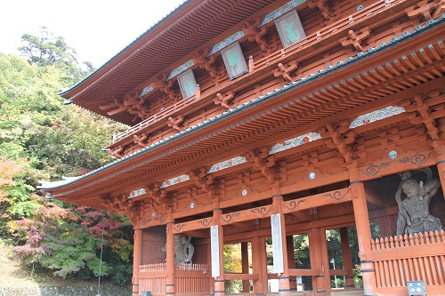 一度は訪れたい高野山、味わいたいクラフトジン