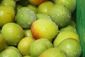 IMG_6080_01