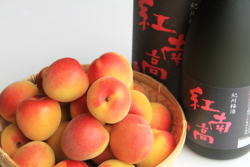 お盆休み！和歌山で試飲販売会やってるよ～！☆