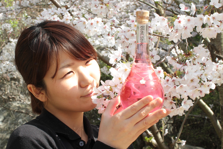 blossomさくら梅酒お花見cherryblossomお酒