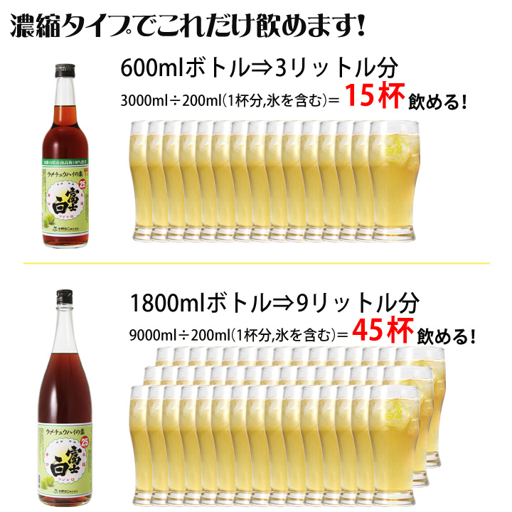 fujishiroume_05_02