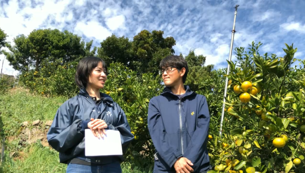 ito_5