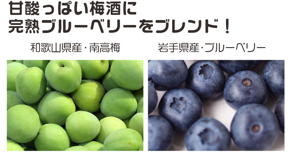 和歌山の梅とブルーベリーのコラボ梅酒,甘酸っぱい梅酒に完熟ブルーベリーをブレンド,岩手県産,和歌山県産