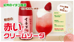 【POP】イチゴ梅酒赤いクリームソーダ
