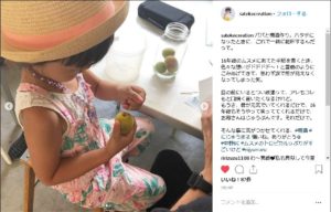 インスタ(satokocreation様)