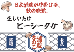 【出展レポート】わかやま産品商談会 in 和歌山 2025 に「ビーシータケ」を初披露しました！