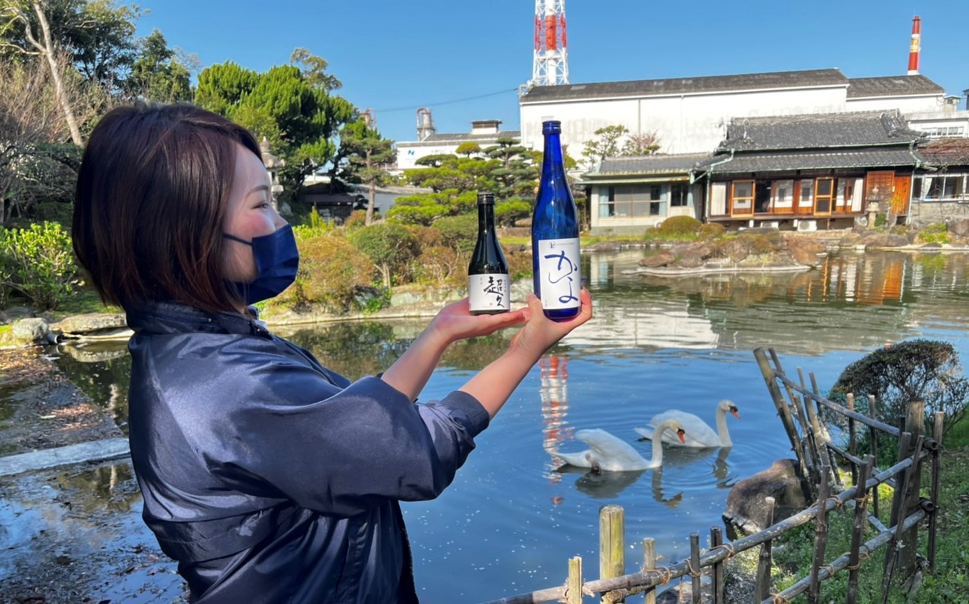 白鳥もびっくり！日本酒の新発売♪