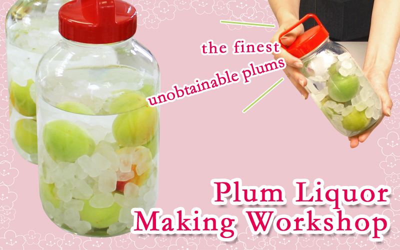 Plum Liquor Making Workshop On-going